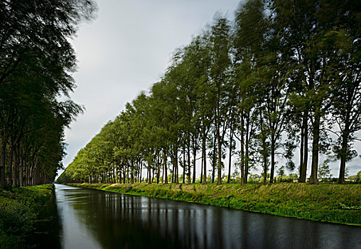 树,风暴,白天,利奥波德,运河,西佛兰德省,比利时