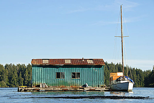 温哥华岛,格里夸湾,漂浮,小屋,帆船