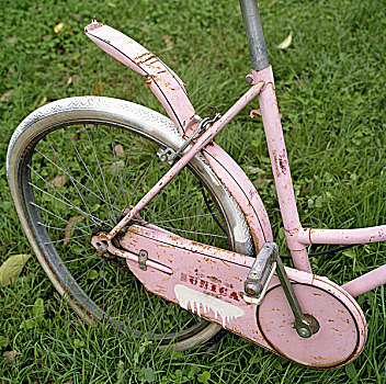 扣住,白色,背影,轮子,老,生锈,粉色,自行车,站立,草,费拉拉,意大利