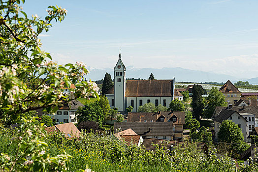 教堂,靠近,康士坦茨湖,斯瓦比亚,巴伐利亚,德国,欧洲