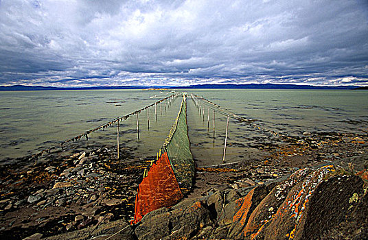 鱼梁,网,魁北克,加拿大