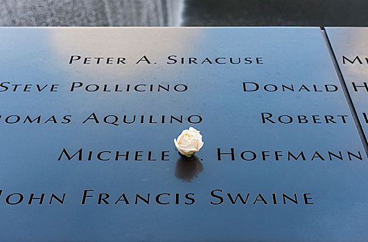 受害者,水池,护栏,白色蔷薇,国家,911事件,纪念,博物馆,纽约,美国,北美