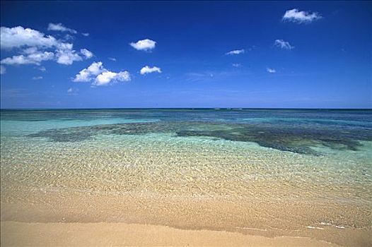 海滩,海岸,加勒比海