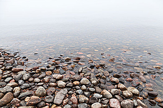 湿,石头,湖,海岸,雾状,早晨