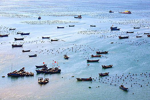 海湾,船,阳光,海岸,停泊,航行,港湾