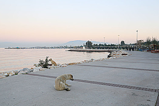 土耳其海滨