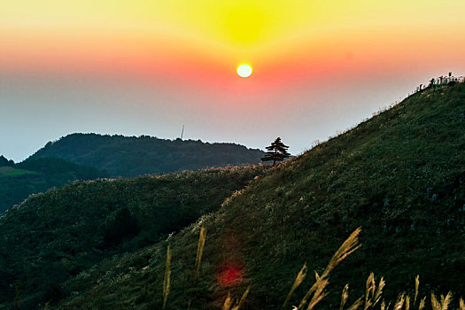 阳光下的宜昌百里荒风景区