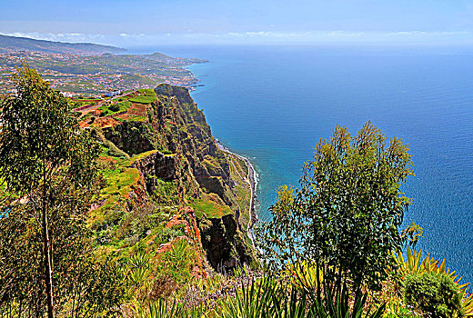 悬崖,海岸,渔村,南海岸,马德拉岛,岛屿,葡萄牙
