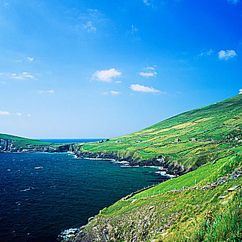 海洋,草场,丁格尔半岛,凯瑞郡,爱尔兰
