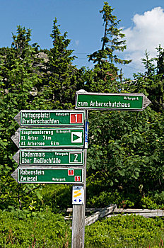 路标,格罗塞尔,阿尔贝尔,巴伐利亚,树林,自然,公园,德国,欧洲