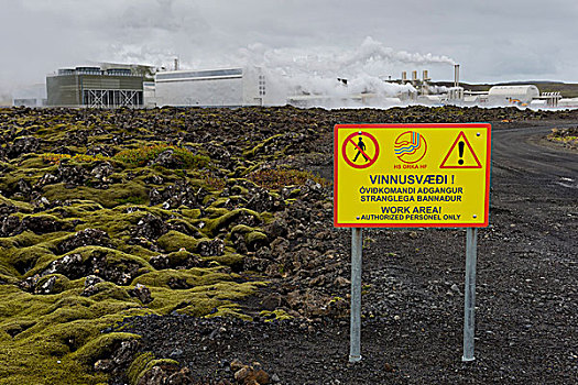 警告,禁止,标识,火山岩,遮盖,石头,苔藓,地热发电站,靠近,南方,半岛,雷克雅奈斯,冰岛,欧洲
