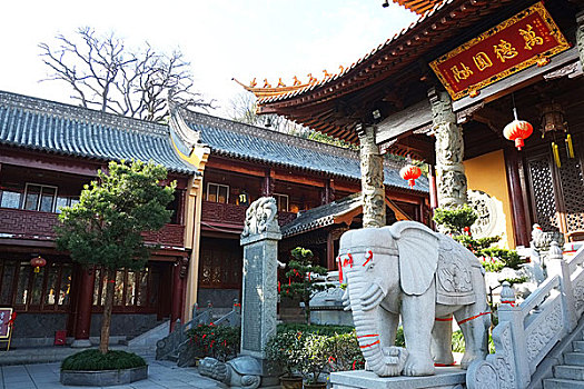 芜湖,广济寺,全景,公园,雕像,园林,佛像,古树,宝塔