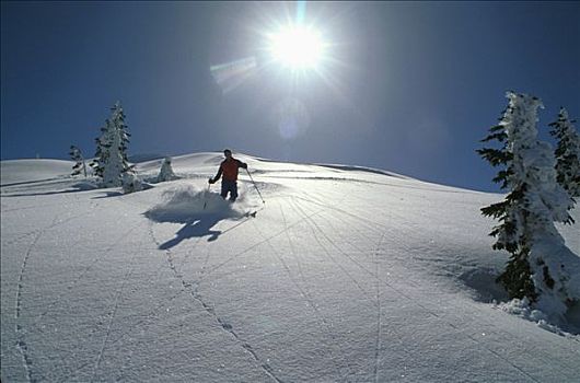 男人,高山滑雪,东南部,滑雪胜地,海岸,冬天
