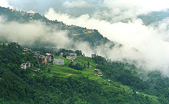风景,途中,安静,喜玛拉雅,乡村,大吉岭,西孟加拉,印度,十一月,2004年