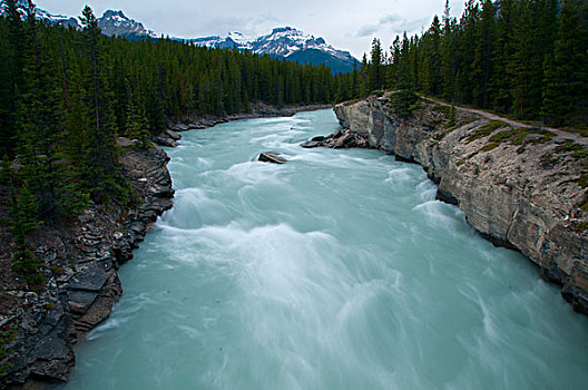 河,流动,树林,北方,萨斯喀彻温,冰河,湖,小路,班芙国家公园,艾伯塔省,加拿大