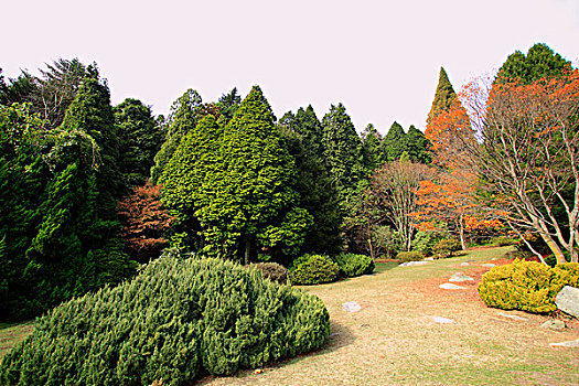 庐山植物园