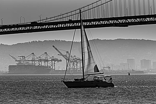 旧金山湾,桥,帆船,码头,加利福尼亚