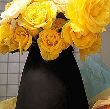 黄色,玫瑰,黑色,花瓶