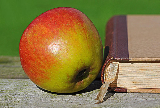 苹果,旁侧,老,书本