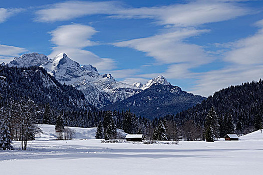 冬季风景,靠近,陆地,区域,上巴伐利亚,巴伐利亚,德国,欧洲