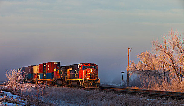 列车,旅行,轨道,旁侧,冰冻,地面,艾伯塔省,加拿大