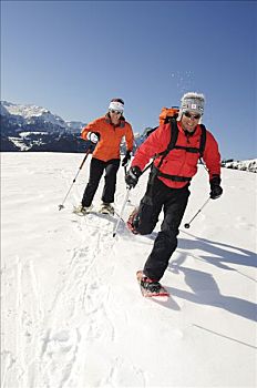 雪鞋,远足者,西部,阿尔卑斯山,伯尔尼,瑞士,欧洲