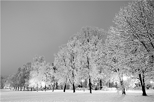 冬天,城市公园,晚间