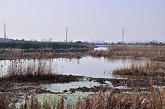 正方中路