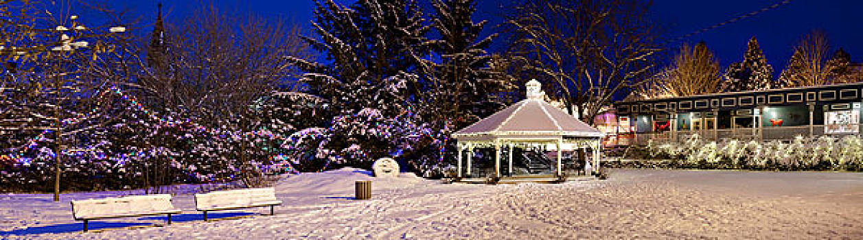圣诞灯光,露台,魁北克,加拿大