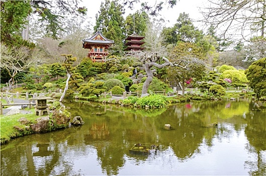 日本茶,花园,旧金山