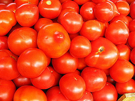 背景,红色,成熟,西红柿