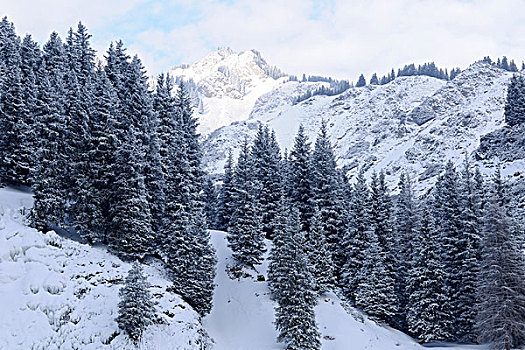 新疆天山雪景