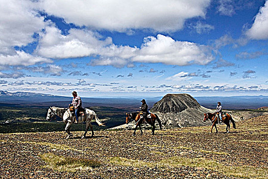 小路,骑手,旅行,山峦,不列颠哥伦比亚省,加拿大