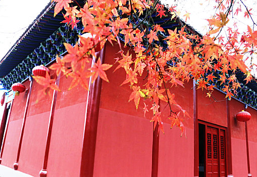 广西全州千年古刹湘山寺,枫叶红于,二月花