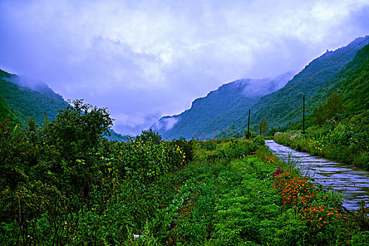 清晨山雾