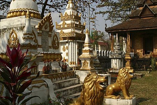 狮子,守卫,墓穴,重要,庙宇,施沙格庙,万象,老挝