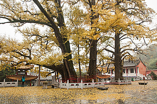 文殊寺