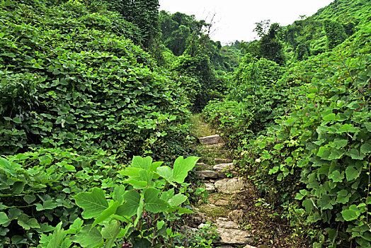 河北省石家庄平山县藤龙山风景区