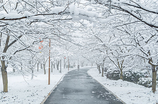 武汉冬日雪景风光