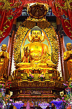 金色,佛,庙宇,二月,中国