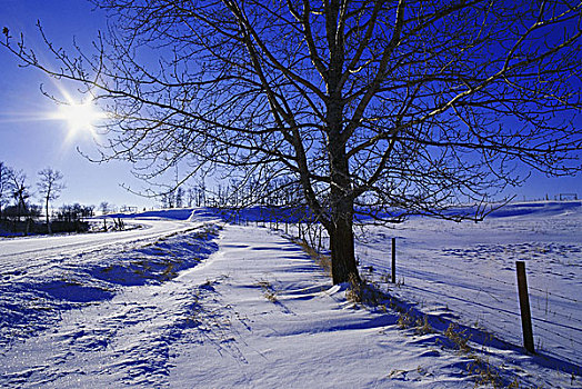 积雪,道路,白天