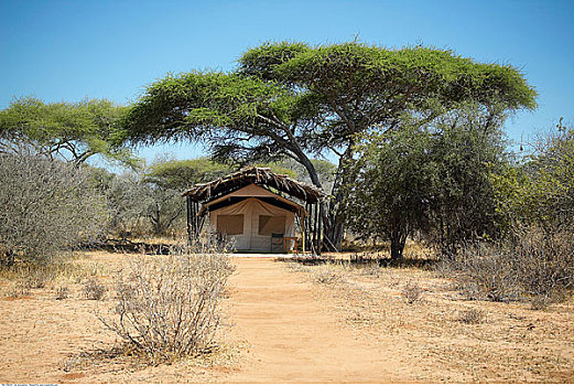 营地,坦桑尼亚