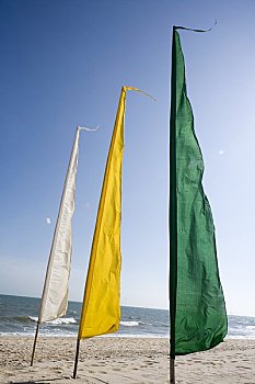 旗帜,海滩,美尼,省,越南