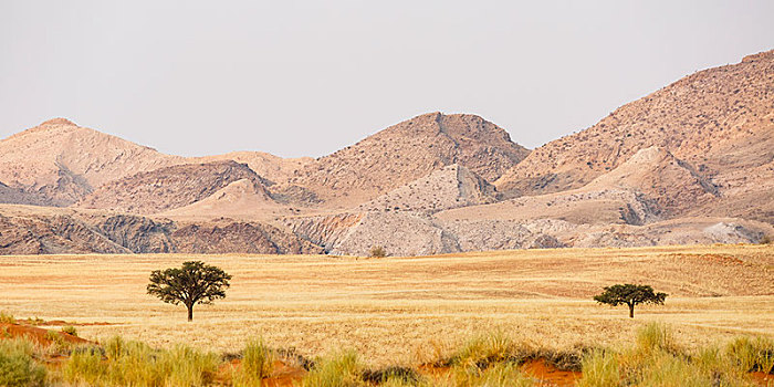 风景,山谷,自然保护区,全景,纳米比诺克陆夫国家公园,纳米比亚,非洲