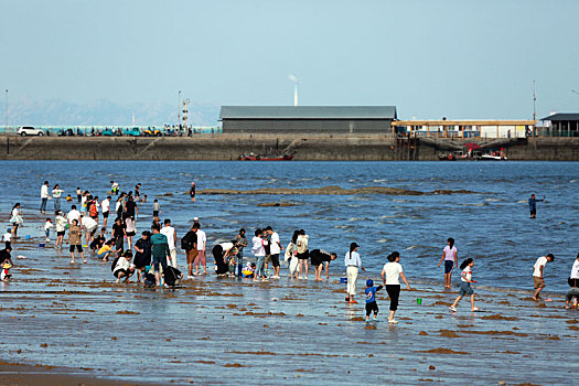 山东省日照市,游客赶海拾贝,踏浪嬉水,桃花岛成国庆节热门打卡地