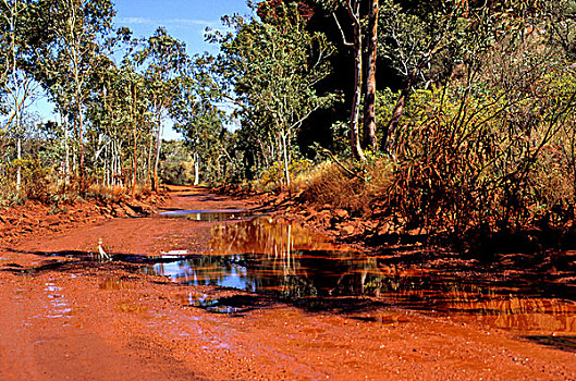 泥,偏远地区,道路,西北地区,澳大利亚