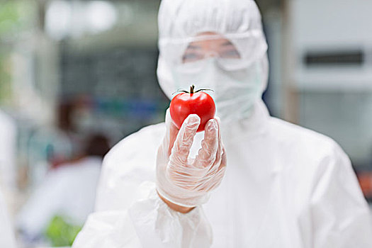 女人,站立,实验室,戴着,防护,套装,拿着,西红柿