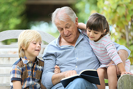 老人,读,书本,孙辈
