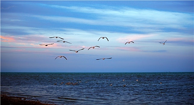 青海青海湖风景