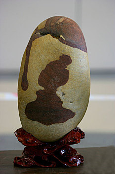 重庆花卉艺术节中展示的三峡奇石,侍女